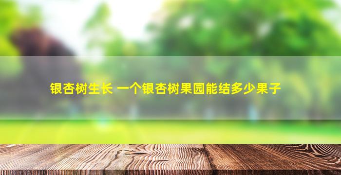 银杏树生长 一个银杏树果园能结多少果子